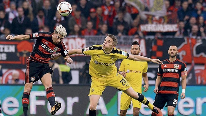 扎金花里的 扎金花里的