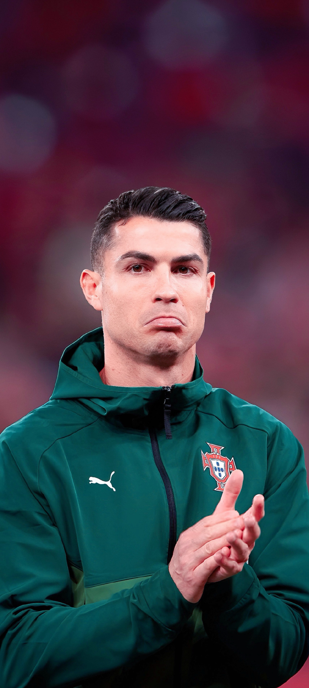 可在此基础 可在此基础